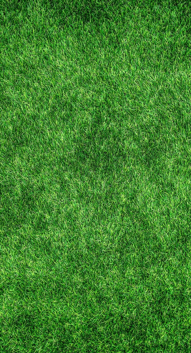 Eco-Friendly Home Products